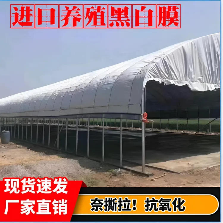 进口黑白膜加厚养殖大棚双面膜反光隔热膜防晒塑料布食用菌黑白膜