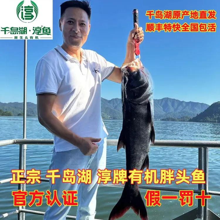 正宗千岛湖淳牌有机胖头鱼活鱼大头鱼鲜活花鲢包头鱼鲢鳙鱼快递