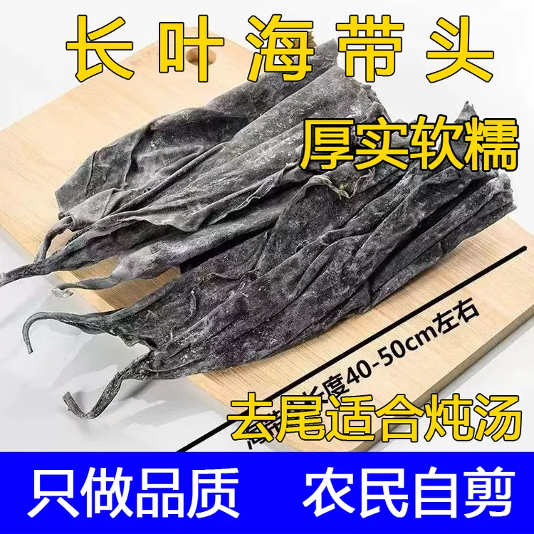 福建南日岛长叶去尾长海带头50到60公分新鲜日晒厚实散装煲汤软糯
