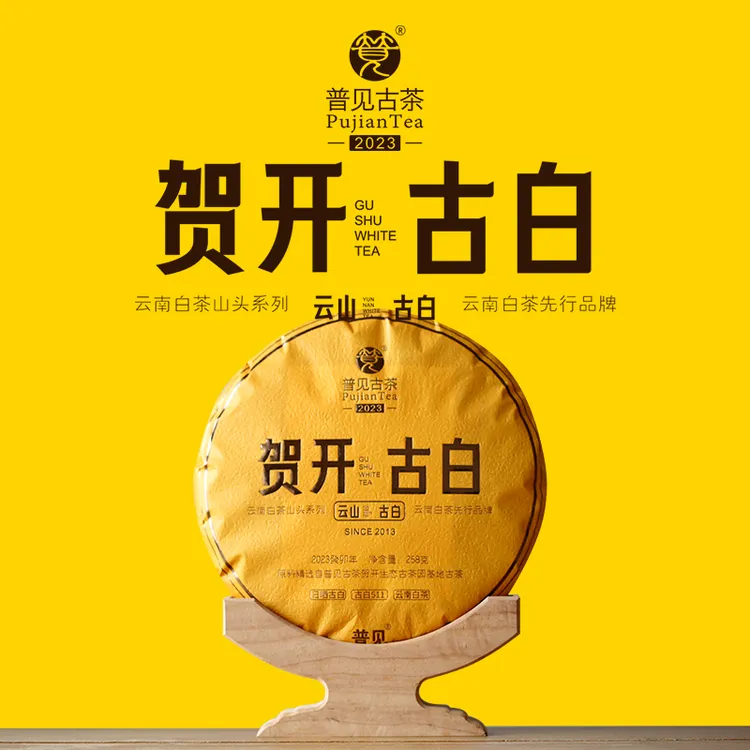普见古茶 2023贺开古白（古白511）贺开古树白茶 连续制作第6年