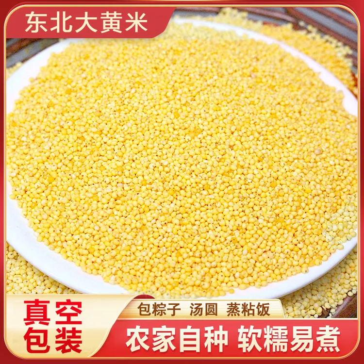 25年东北大黄米新米黏米粘糯小米粘豆包粽子五谷杂粮黏米饭熬粥