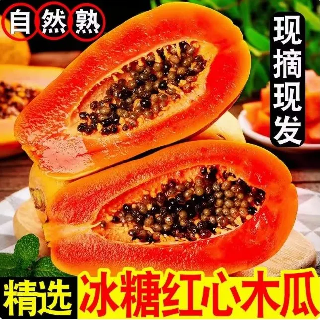【软糯柔滑】遂溪冰糖红心木瓜新鲜水果当季青木瓜牛奶冰糖心