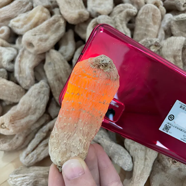 云南天麻昭通小草坝精选天麻食用无硫正品正宗天麻