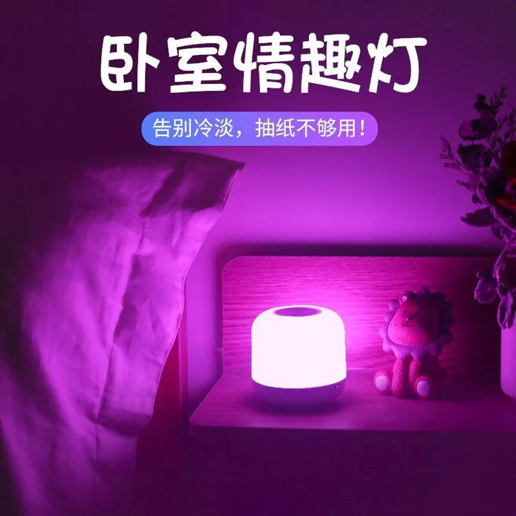 房间氛围灯卧室情调情侣夫妻床头充电浪漫情趣紫色网红小夜灯