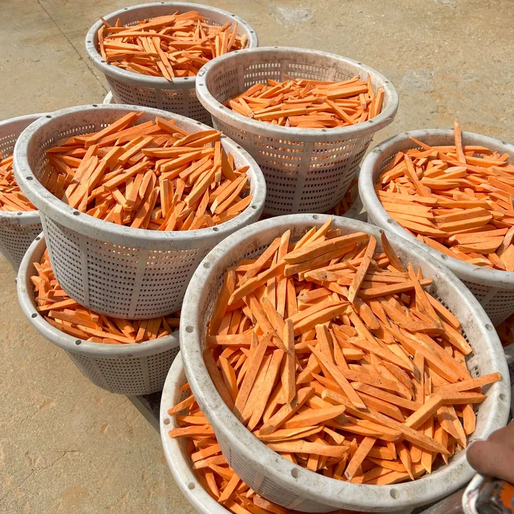 闽南农家日晒地瓜干地瓜条六鳌蜜薯红薯片农产品番薯片粗粮