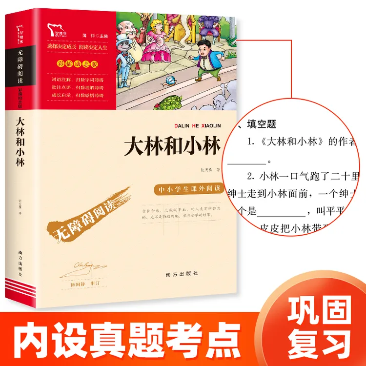 【智慧熊】大林和小林 小学课外经典推荐 无障碍阅读 彩插励志版