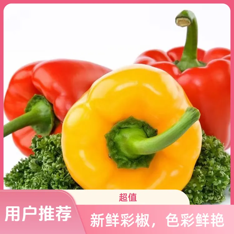 山东现摘红黄五彩椒水果新鲜采摘营养生吃产地直发（净重发货）