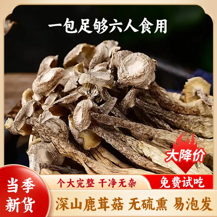 【2024头茬新菇】农家特产新鲜脆菇干货蘑菇鹿茸菇无菌无硫50g煲汤