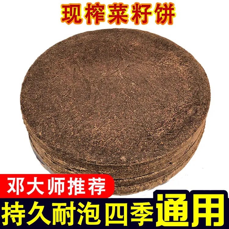 菜籽饼窝料钓鱼打窝新鲜整块原饼隔夜窝纯油菜枯饼方块油枯渣肥料