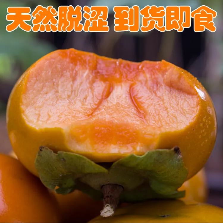 秦觅陕西脆柿子新鲜应季水果树上脱涩阳丰巧克力脆皮硬柿子甜柿子