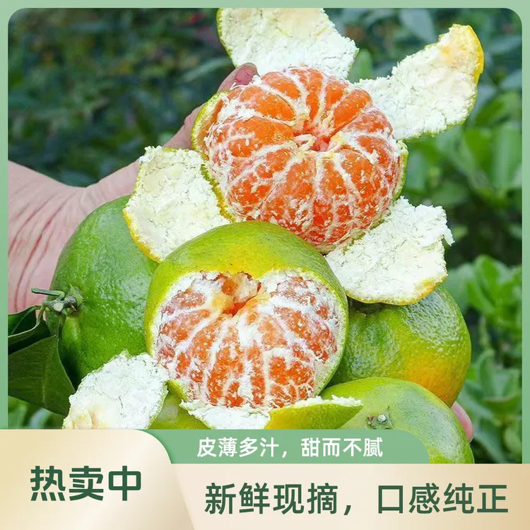 橘子宜昌正宗新鲜蜜桔无籽薄皮当季现采现摘应季水果酸甜可口爆汁