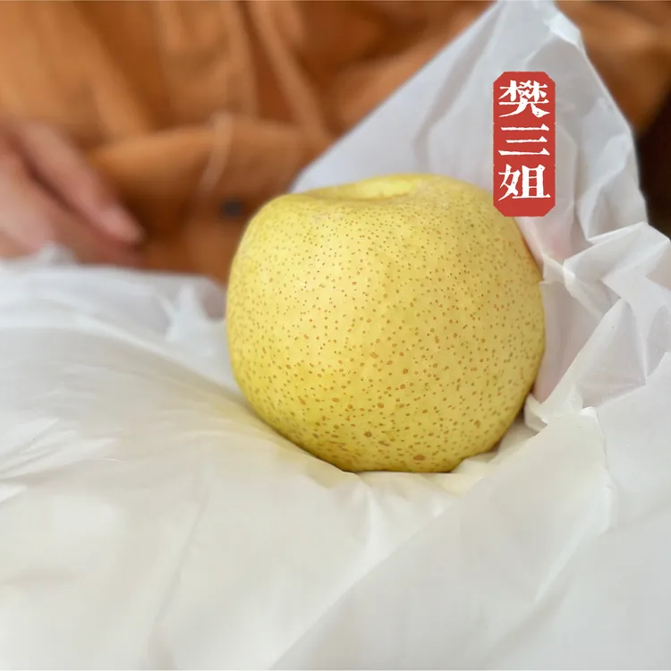 砀山特贡梨精美礼盒装7果10果装