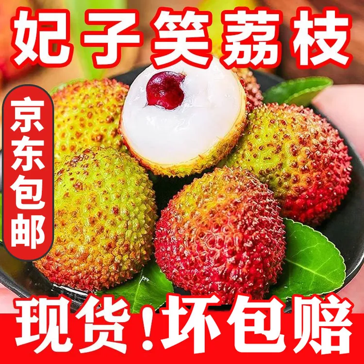 【京东冷链】现摘海南妃子笑荔枝2.8-5斤新鲜应季水果小核荔枝包邮