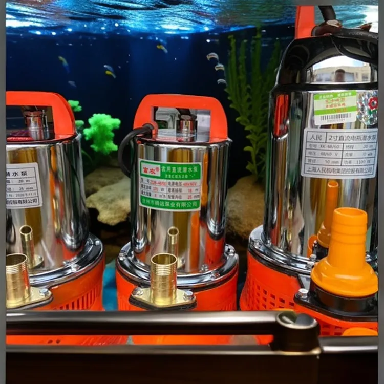 直流泵/电瓶潜水泵12V/24V/48-60V