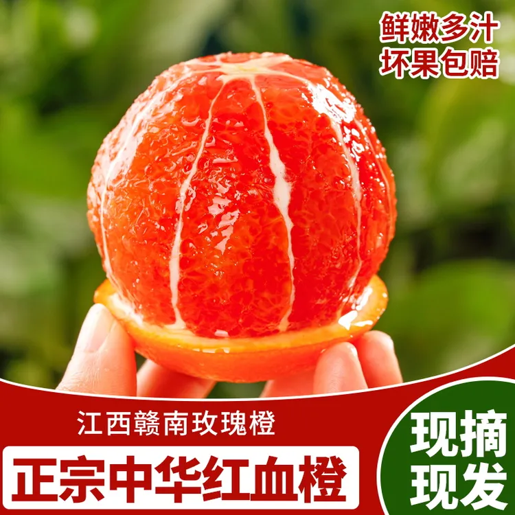 江西赣南血橙卡拉红橙橙子新鲜水果现采现发香甜鲜嫩5斤10斤装