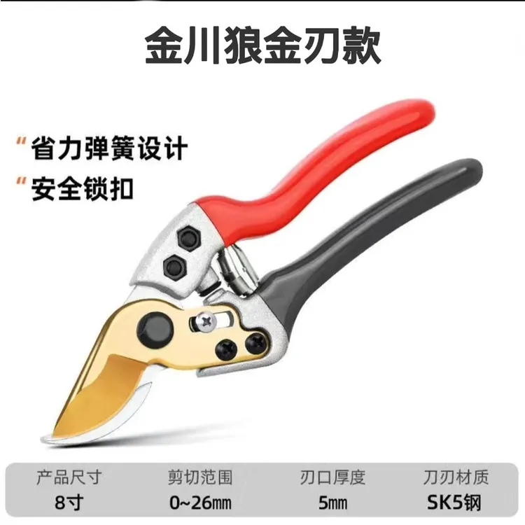 家用果树修枝剪大号省力树剪果剪绿化园林工具剪枝修花园艺修剪刀