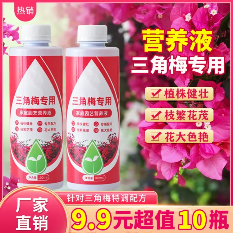 三角梅专用营养液三角梅专用肥料盆栽花卉通用型