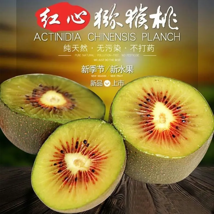 秦漢猴中猴牌周至红阳红心猕猴桃5-10斤左右鲜摘现发包邮坏果包赔