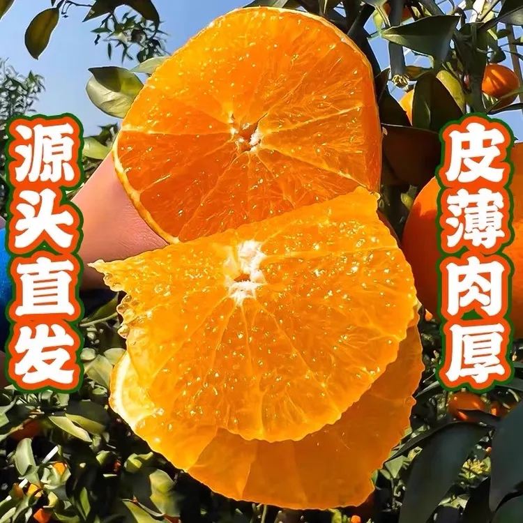 正宗四川爱媛38果冻橙整箱9斤产地直发新鲜水果手剥橙子