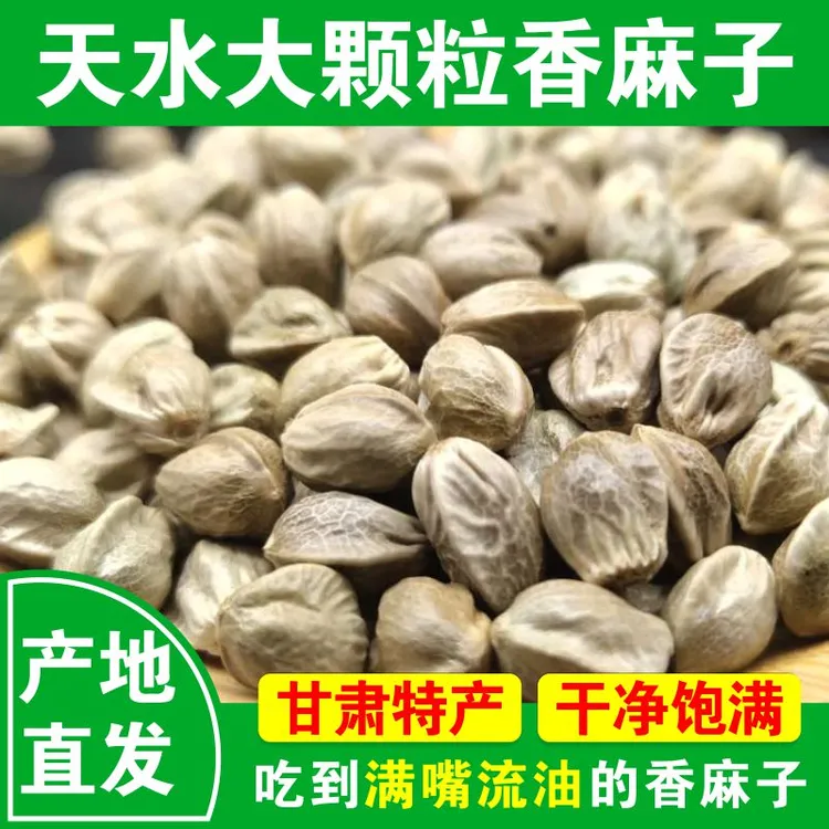 25年新货天水大颗粒香麻子原味五香椒盐火麻特大粒生麻子仁炒熟食