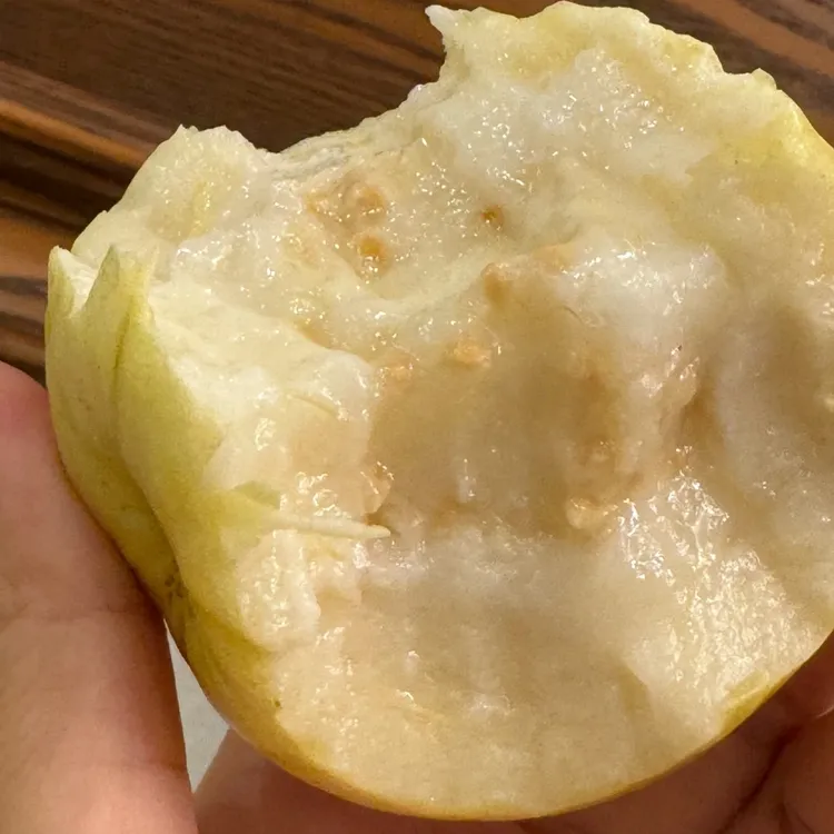 【顺丰包邮】福建漳州自然完熟奶油芭乐 软糯香甜 （先吃黄色软了）