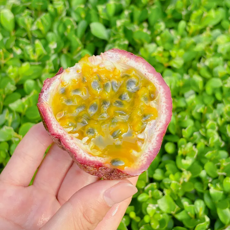 紫蜜7号直接喝的紫皮甜百香果9甜1酸汁水更多特殊的香气