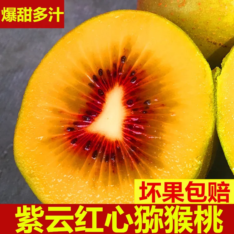 四川特产广元正宗紫云红心猕猴桃新鲜孕妇应季农家水果纯甜多汁