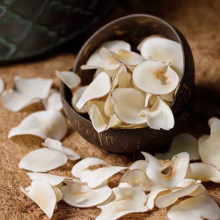 海底椰片煲汤煮水 规格250g-500克包邮