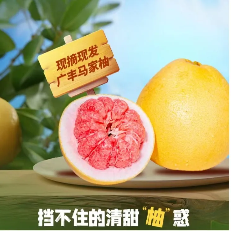 广丰马家柚果园现摘先发果肉饱满汁水充足精选礼盒装