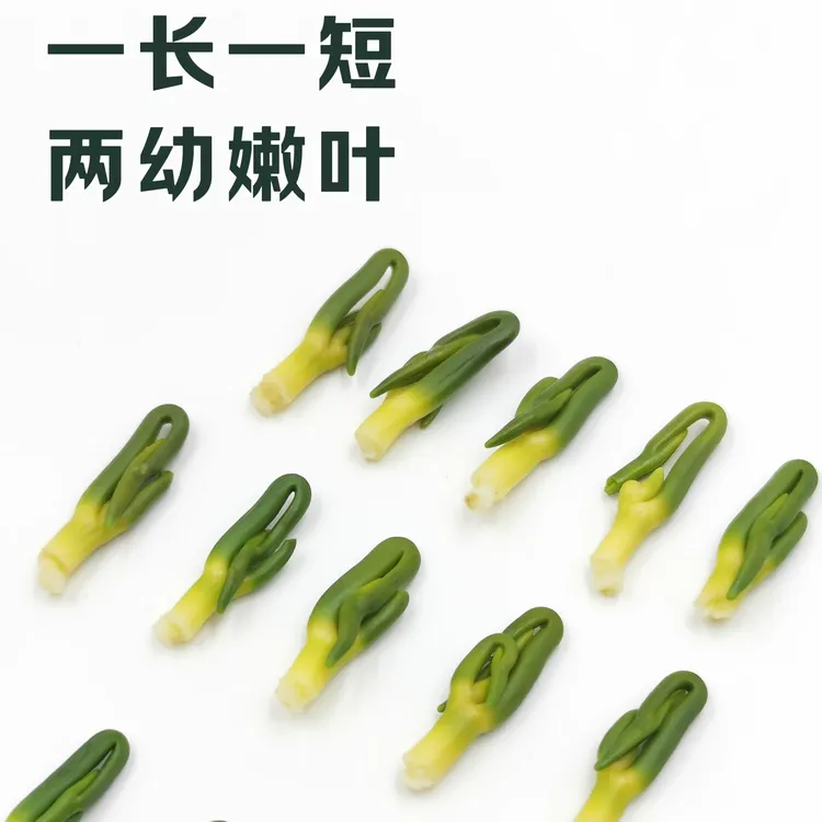 莲子心 头茬泡水泡茶 优选嫩叶 无硫
