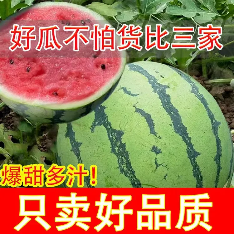 正宗麒麟西瓜超甜8424冰糖现摘薄皮当季籽应无季新鲜批发水果