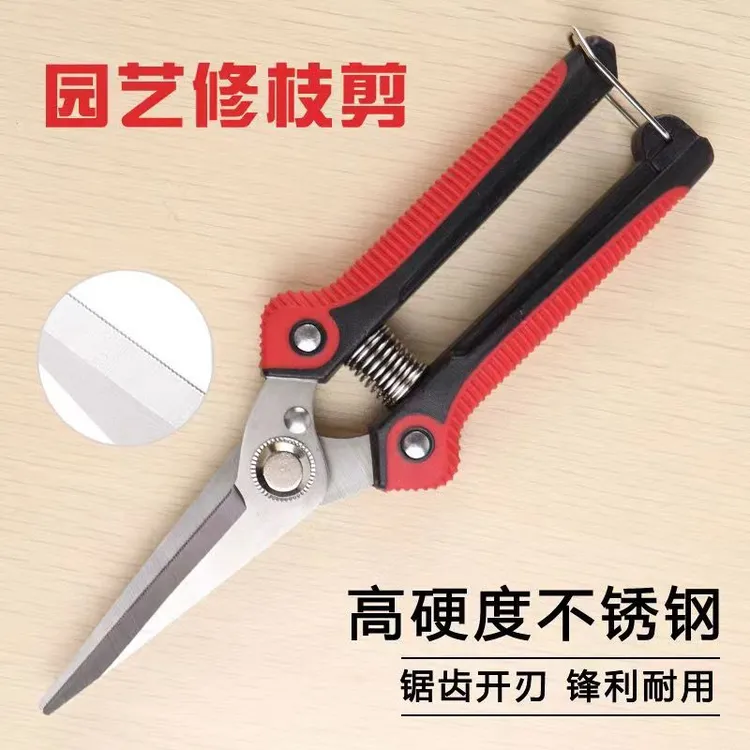 强力采果剪子不锈钢省力专用修枝剪园艺剪刀摘果修花稀果剪疏葡萄