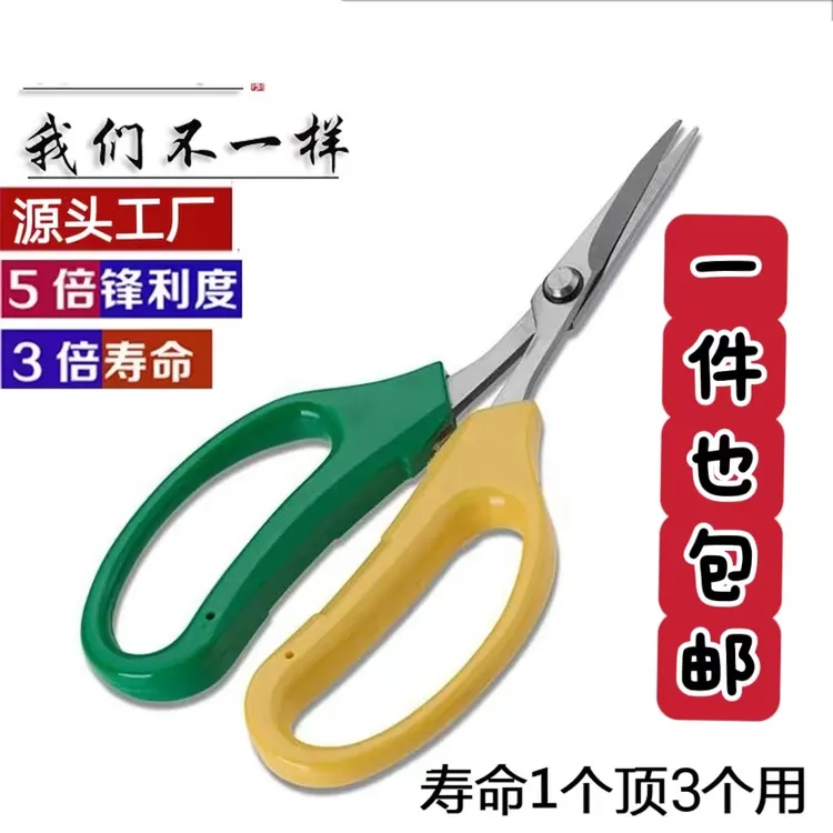 弯头葡萄用品专用剪刀不锈钢园艺剪蔬果稀果修葡萄粒疏果专用剪刀