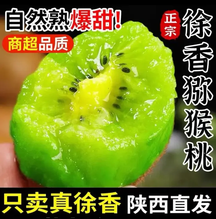 L陕西晚采徐香猕猴桃爆汁新鲜采摘产地直发2.3-4.5斤