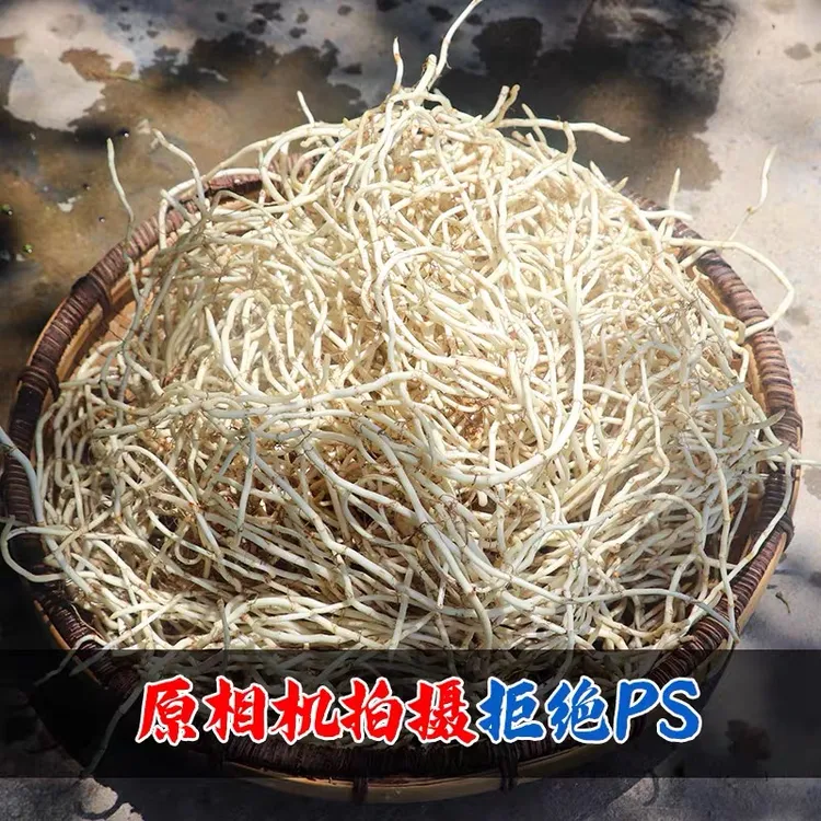 【现挖】鱼腥草野菜根新鲜折耳根农家四川贵州湖北特产蔬菜凉拌菜