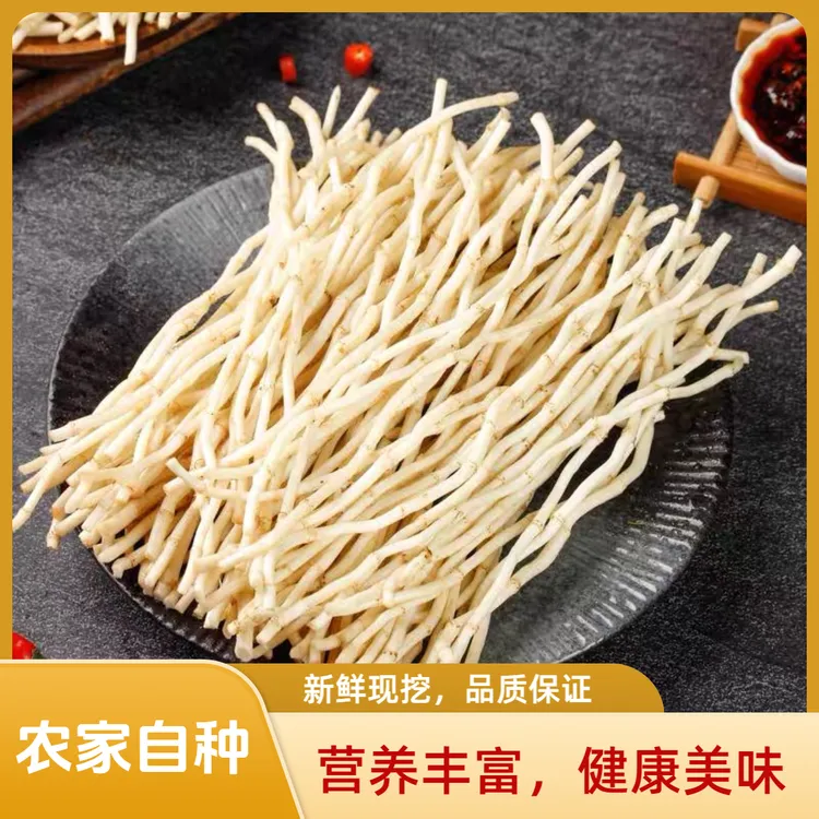 【优选】新鲜折耳根鱼腥草嫩根现挖凉拌鱼香草节节根儿子