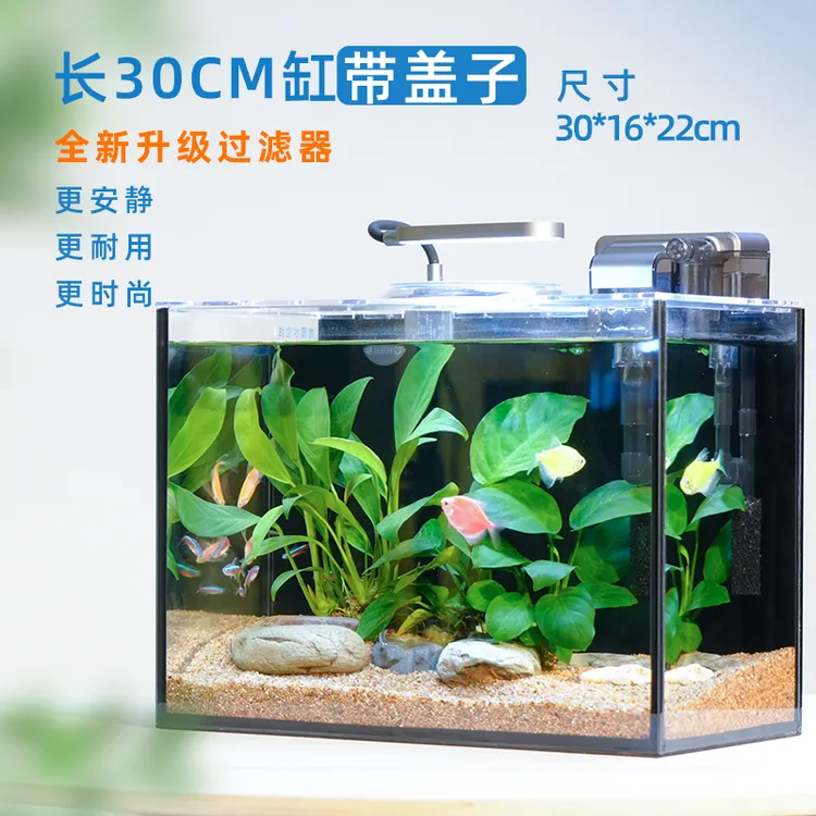 带盖子桌面水景缸自循环过滤小型客厅含景成套发货超白玻璃缸生态