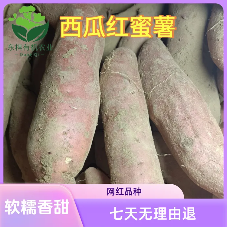 正宗西瓜红蜜薯（产地-山东）