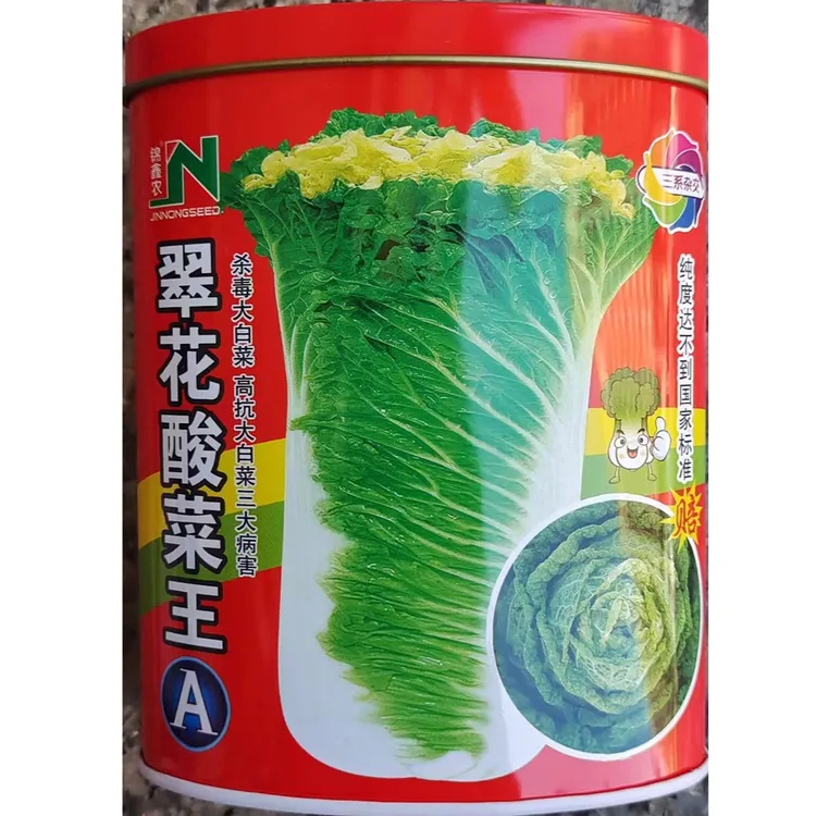 翠花酸菜王A三系杂交大白菜种子抗病耐高低温直筒型腌渍冬储菜籽