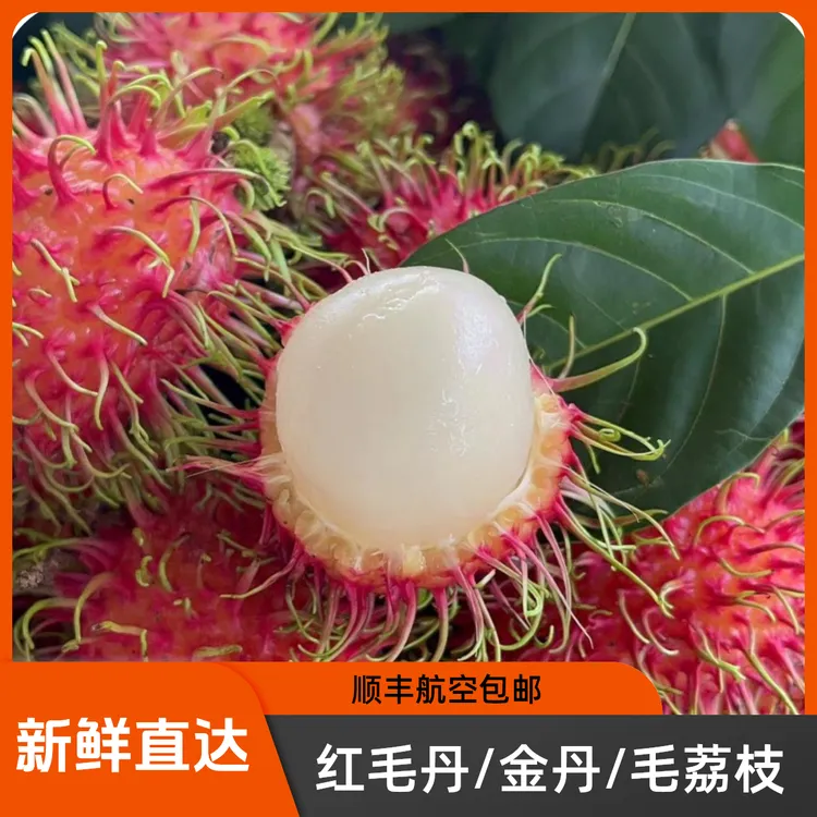 红毛丹/金丹/毛荔枝/7号果礼盒装海南保亭产地直发顺丰常温空运