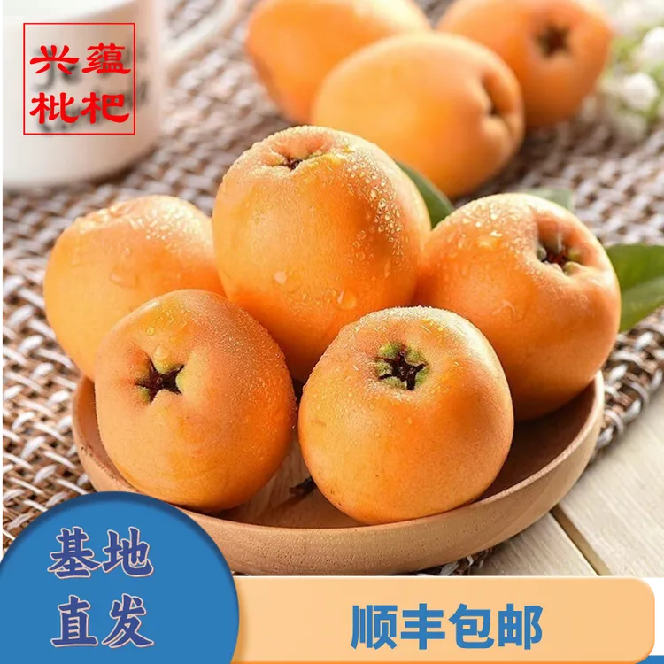 【顺丰包邮】云南楚雄大五星土枇杷蒙自新鲜应季鲜果酸甜可口现摘