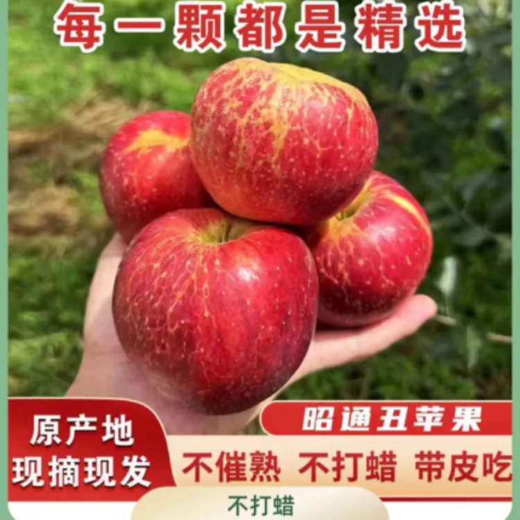 当季云南丑苹果冰糖心新鲜水果现摘现发脆苹果产地直发