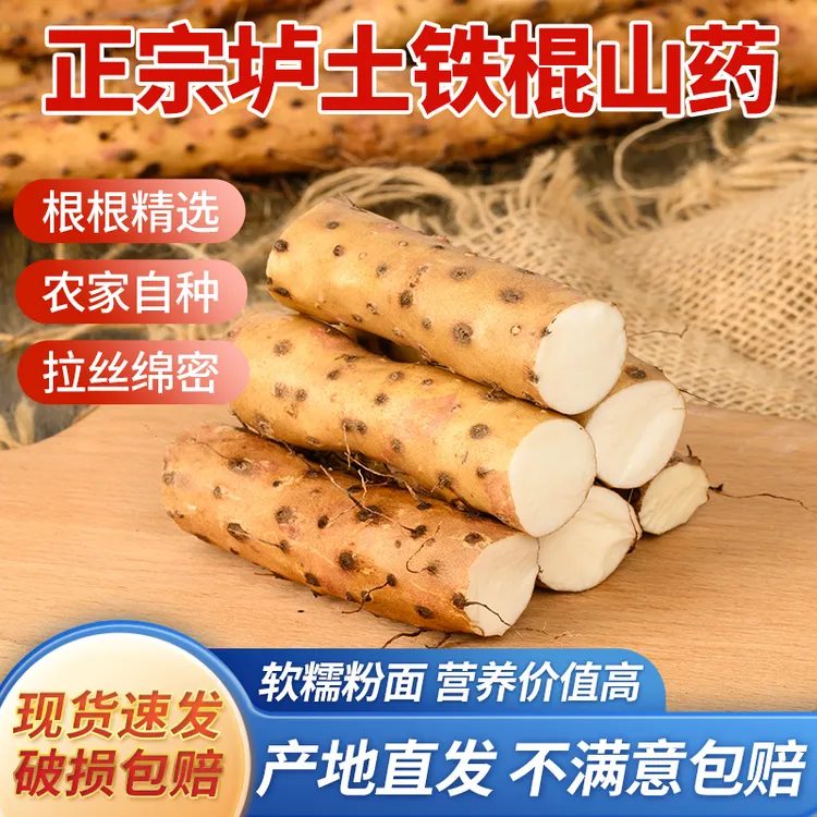 河南焦作温县垆土铁棍山药 新鲜营养3斤装/5斤装/10斤装