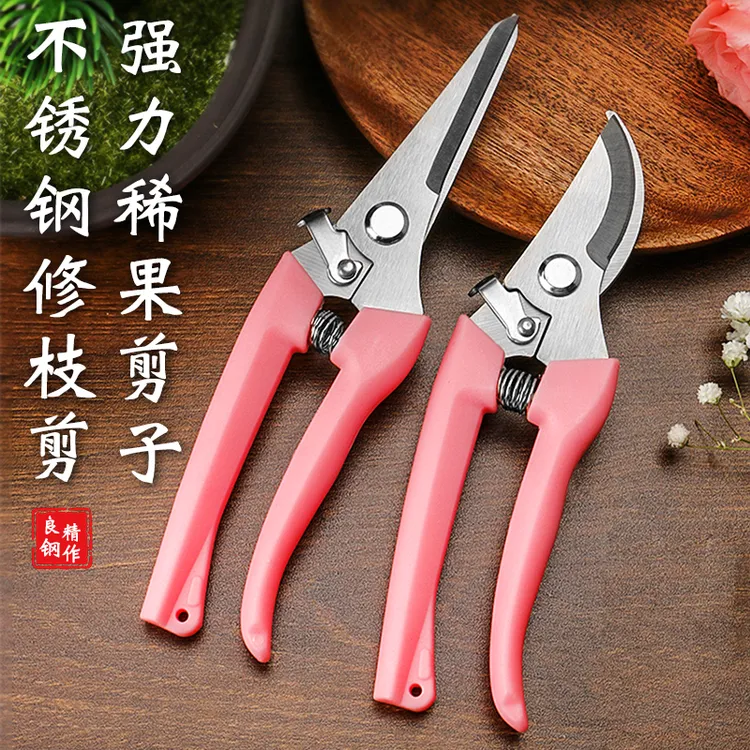 修花剪刀修枝剪园艺剪园林果树剪枝嫁接强力家用省力花卉剪子神器
