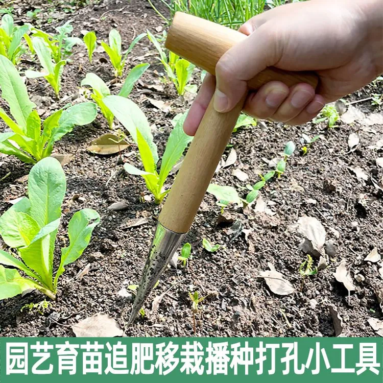 CPAI播种打洞器移苗追肥不锈钢园艺种菜育苗种花播籽器工具种苗