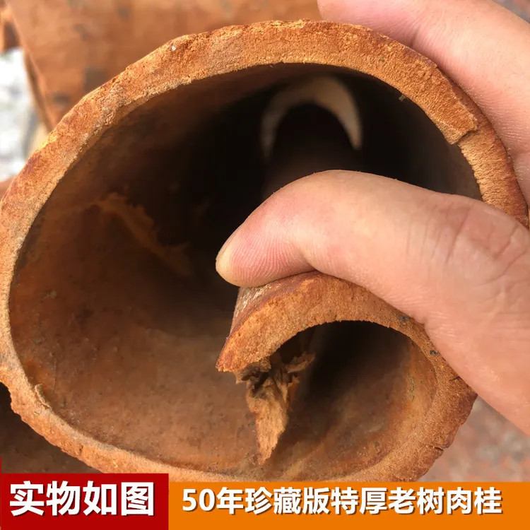【50年珍藏版特厚老树肉桂】广西深山去皮老树肉桂香料煮水暖身装饰