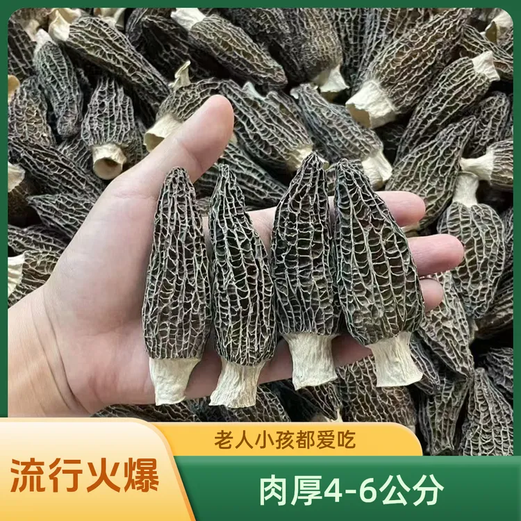 头茬羊肚菌干货精选肉厚4-6公分羊肚菌老人小孩都爱吃250-500g