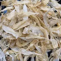 豆仁胶330-360头。。。。。。。。。。。。。。。。。。。。鱼胶