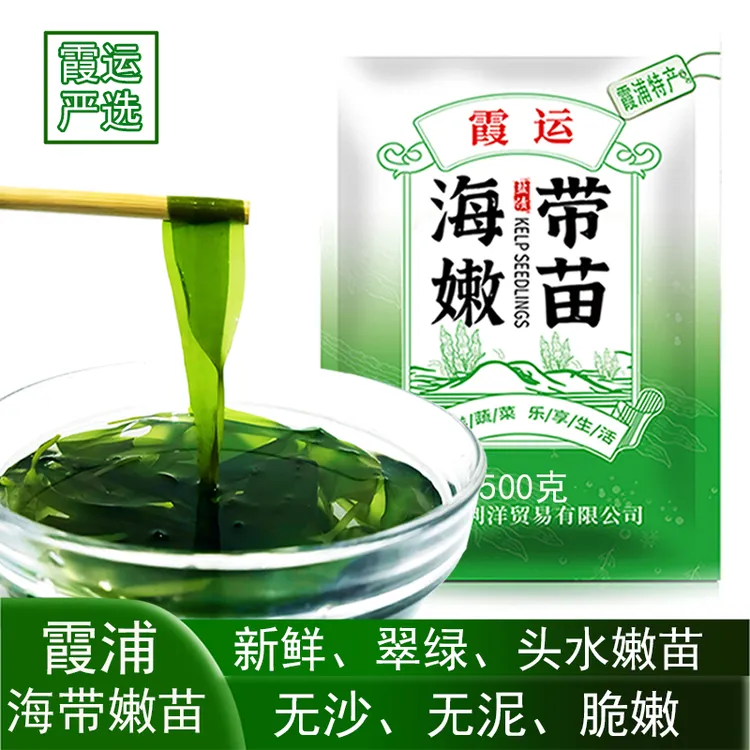 海带苗新鲜盐渍海带干净霞浦特产小火锅凉拌食材商用非干货裙带菜