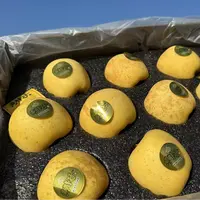 【恒泽优选】黄胖子维纳斯苹果【礼盒】（威海产区）